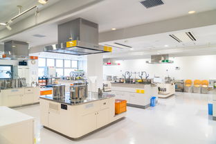 橫濱周邊隱藏瑰寶 探索超越地標的小眾教育與文化之旅